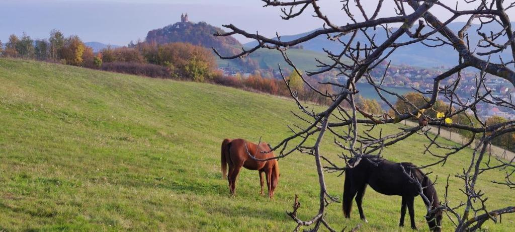 Hotel Barcadam Banská Štiavnica Kültér fotó